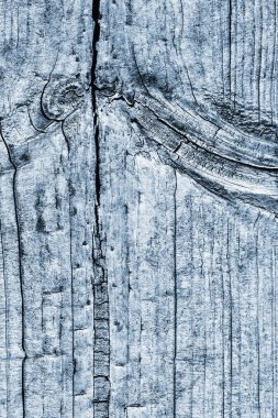 Düğümlü kaba ahşap toz mavi doku çürümüş yıpranmış eski kırık
