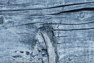 Düğümlü kaba ahşap toz mavi doku çürümüş yıpranmış eski kırık