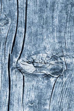Düğümlü kaba ahşap toz mavi doku çürümüş yıpranmış eski kırık