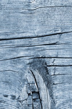 Düğümlü kaba ahşap toz mavi doku çürümüş yıpranmış eski kırık