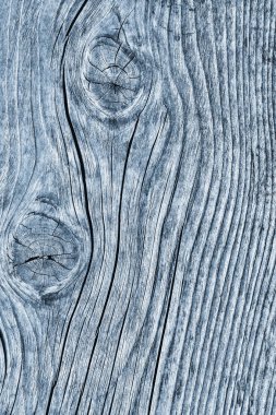 Düğümlü kaba ahşap toz mavi doku çürümüş yıpranmış eski kırık