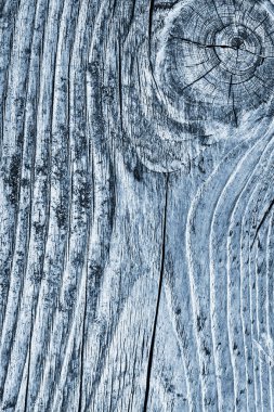Düğümlü kaba ahşap toz mavi doku çürümüş yıpranmış eski kırık