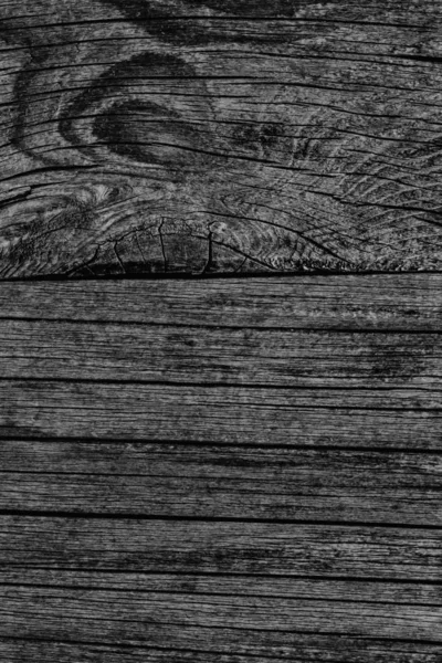 Старомохнатая гнилая грядка из грубого дерева — стоковое фото