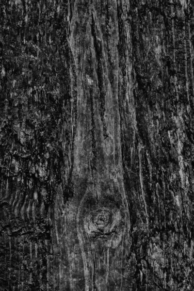 Old Weathered Rotten Cracked nodo grosso legno nero grunge Texture — Foto Stock