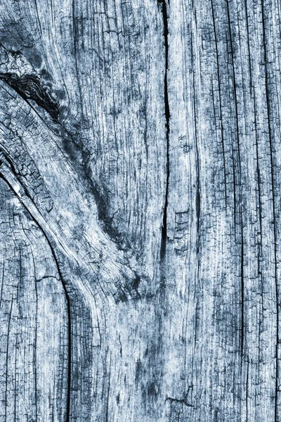 腐った風化オールドひび結び目の木材粉青色粗グランジ テクスチャ — ストック写真
