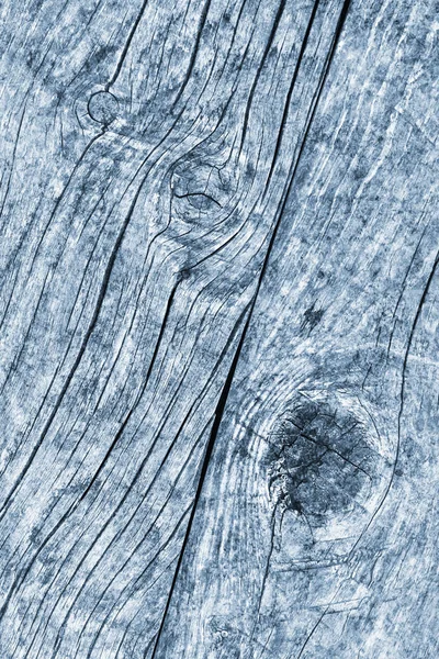 Old Weathered Rotten Cracked Knotted Coarse Wood Powder Blue Grunge Texture — Stock Photo, Image