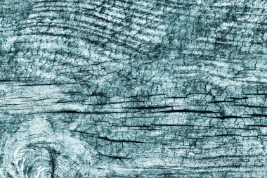 Düğümlü kaba ahşap camgöbeği Grunge doku çürümüş yıpranmış eski kırık