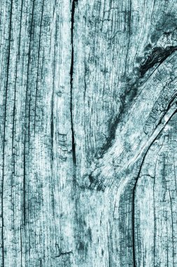 Düğümlü kaba ahşap camgöbeği Grunge doku çürümüş yıpranmış eski kırık