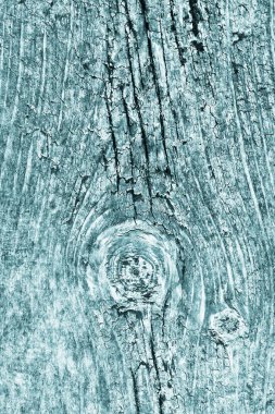 Düğümlü kaba ahşap camgöbeği Grunge doku çürümüş yıpranmış eski kırık