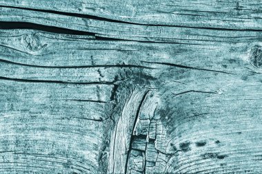 Düğümlü kaba ahşap camgöbeği Grunge doku çürümüş yıpranmış eski kırık