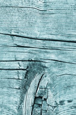 Düğümlü kaba ahşap camgöbeği Grunge doku çürümüş yıpranmış eski kırık