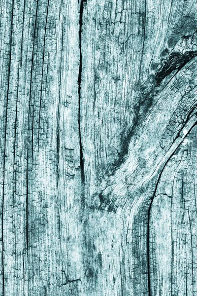 Düğümlü kaba ahşap camgöbeği Grunge doku çürümüş yıpranmış eski kırık