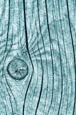 Düğümlü kaba ahşap camgöbeği Grunge doku çürümüş yıpranmış eski kırık