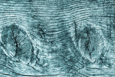 Düğümlü kaba ahşap camgöbeği Grunge doku çürümüş yıpranmış eski kırık