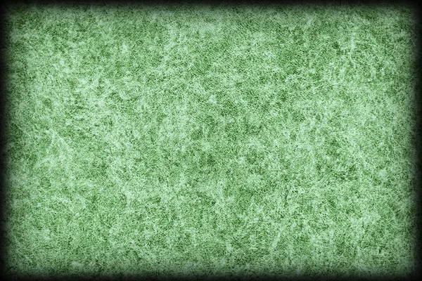 Pergaminho de pele animal verde antigo Wizened Grosso Vignetted Grunge Textura — Fotografia de Stock