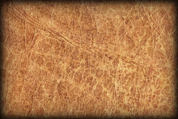 Vieille peau de vache jaune grossière émiettée froissée Grunge texture — Photo