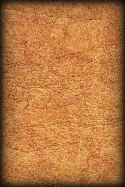 Old Yellow Cowhide Coarse Wizened Crumpled Vignetted Grunge Texture — Stock Photo, Image