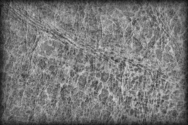 Старий темно сірий коров'ячий грубий зіпсований віньєтками гранж текстури — стокове фото