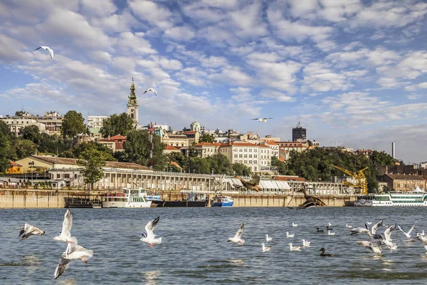 Beograd sentrum av Panorama med turisthavn sett fra Sava River-perspektivet – stockfoto