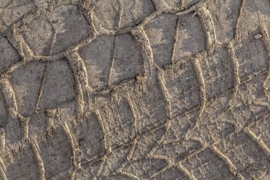 Sandy çamurlu toprak lastik parça baskı