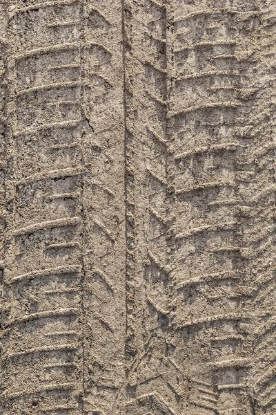 Tire Track Print In Sandy Muddy Dirt