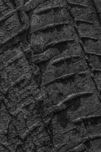 Tire Track Print In Black Sandy Muddy Dirt