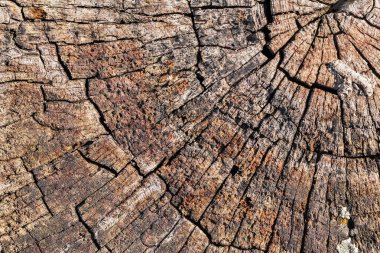 Eski kırık çürük güdük üst yüzey doku yıpranmış