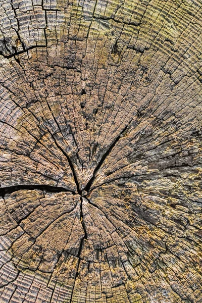 stock image Old Weathered Cracked Railway Sleeper Rough Grunge Cross Section Side Surface