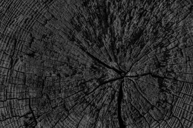 Eski kırık çürük güdük üst yüzey siyah Grunge doku yıpranmış