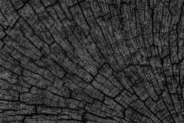 Eski kırık çürük güdük üst yüzey siyah Grunge doku yıpranmış