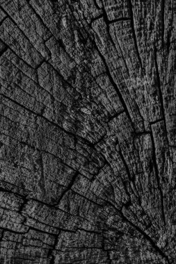 Eski kırık çürük güdük üst yüzey siyah Grunge doku yıpranmış