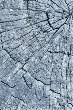 Eski kırık çürük güdük üst yüzey mavi Grunge doku yıpranmış