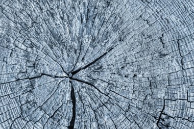 Eski kırık çürük güdük üst yüzey mavi Grunge doku yıpranmış