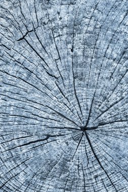 Eski kırık çürük güdük üst yüzey mavi Grunge doku yıpranmış