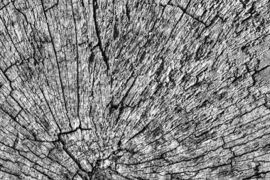 Eski kırık çürük güdük üst yüzey gri doku yıpranmış