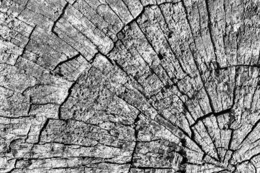 Eski kırık çürük güdük üst yüzey gri doku yıpranmış