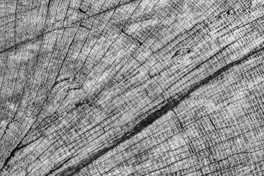 Eski kırık çürük güdük üst yüzey gri doku yıpranmış