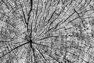 Eski kırık çürük güdük üst yüzey gri doku yıpranmış