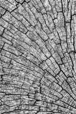 Eski kırık çürük güdük üst yüzey gri doku yıpranmış