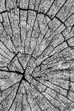 Eski kırık çürük güdük üst yüzey gri doku yıpranmış