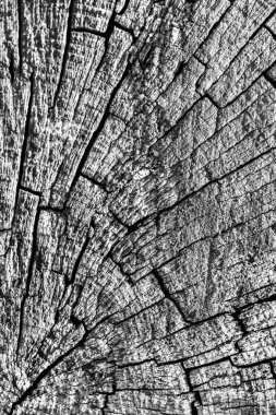 Eski kırık çürük güdük üst yüzey gri doku yıpranmış