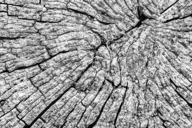 Eski kırık çürük güdük üst yüzey gri doku yıpranmış