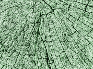 Eski kırık çürük güdük üst yüzey Kelly yeşil doku yıpranmış