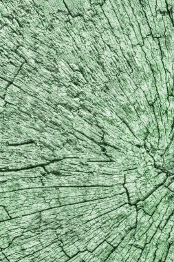 Eski kırık çürük güdük üst yüzey Kelly yeşil doku yıpranmış