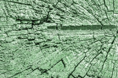 Eski kırık çürük güdük üst yüzey Kelly yeşil doku yıpranmış