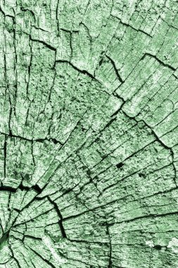 Eski kırık çürük güdük üst yüzey Kelly yeşil doku yıpranmış