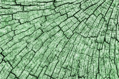 Eski kırık çürük güdük üst yüzey Kelly yeşil doku yıpranmış