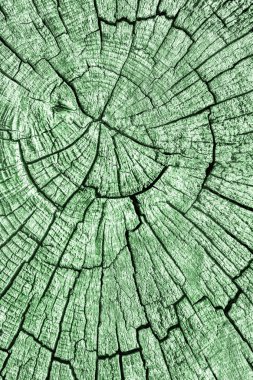 Eski kırık çürük güdük üst yüzey Kelly yeşil doku yıpranmış