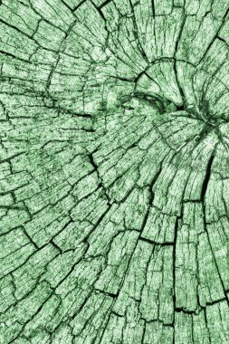 Eski kırık çürük güdük üst yüzey Kelly yeşil doku yıpranmış