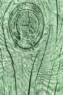 Eski kırık çürük güdük üst yüzey Kelly yeşil doku yıpranmış